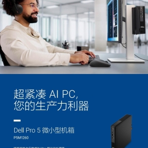Dell Pro 5 Micro P5M1260迷你台式机产品简介彩页-DELL台式机湖北白金牌代理分销